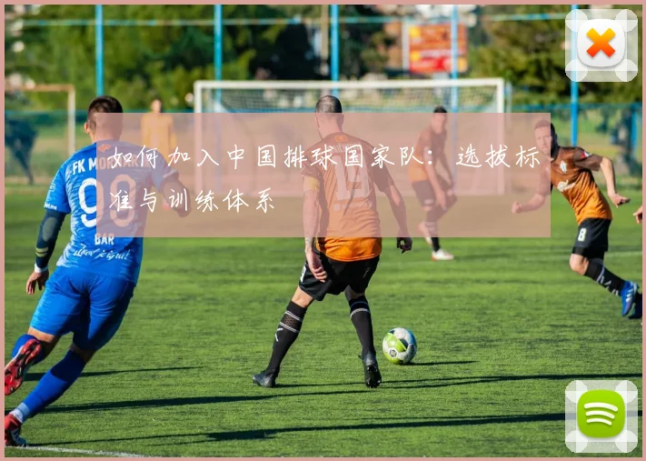 如何加入中国排球国家队：选拔标准与训练体系