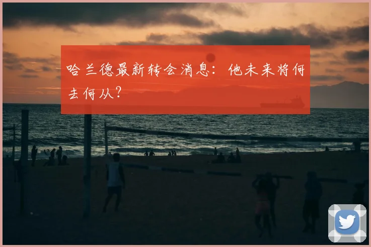 哈兰德最新转会消息：他未来将何去何从？