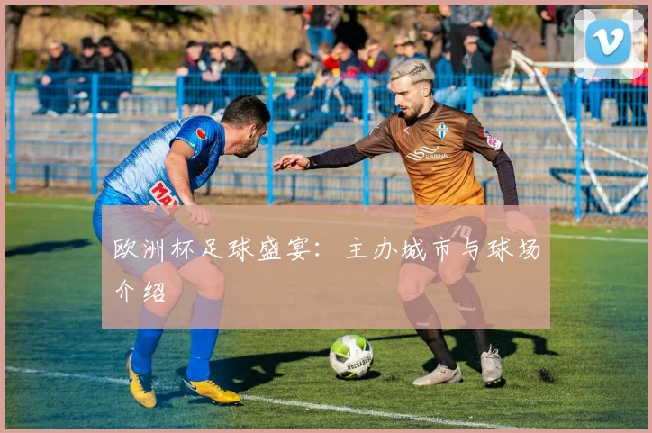 欧洲杯足球盛宴：主办城市与球场介绍