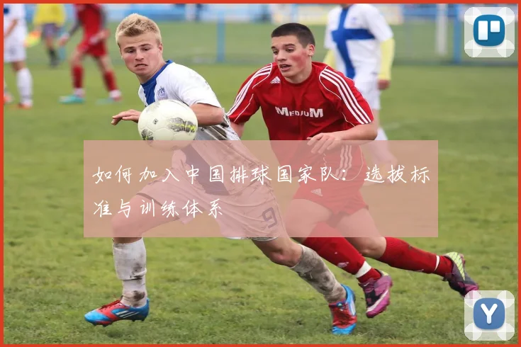 如何加入中国排球国家队：选拔标准与训练体系