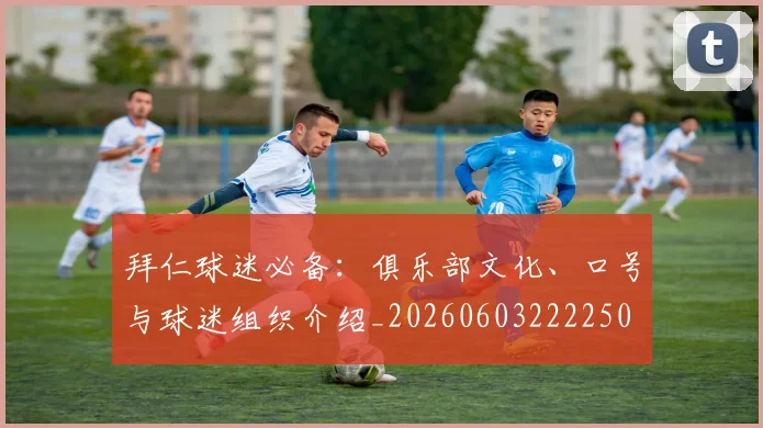 拜仁球迷必备:俱乐部文化、口号与球迷组织介绍_20260603222250