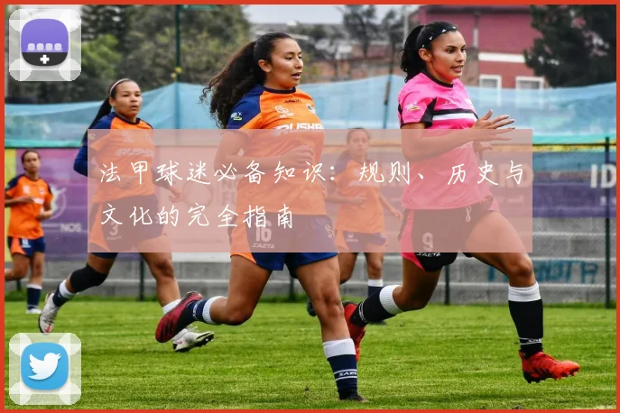 法甲球迷必备知识：规则、历史与文化的完全指南