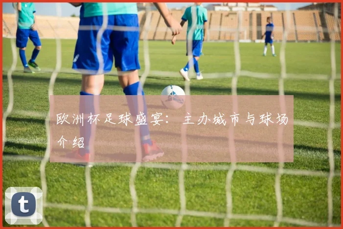 欧洲杯足球盛宴：主办城市与球场介绍